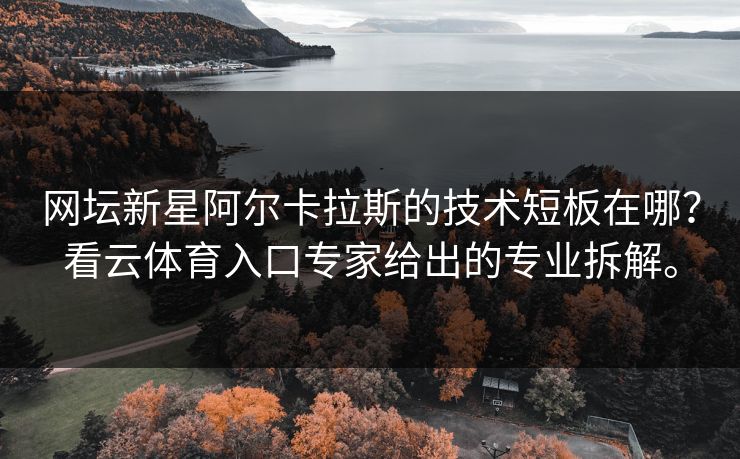 网坛新星阿尔卡拉斯的技术短板在哪？看云体育入口专家给出的专业拆解。